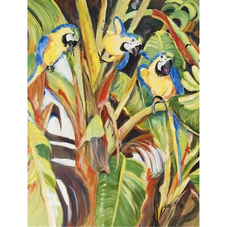 Carolines Treasures Parrots Flag Canvas House Size JMK1203CHF